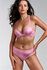 Marlies Dekkers Rococo Brazilian Slip Royal Pink and Gold_